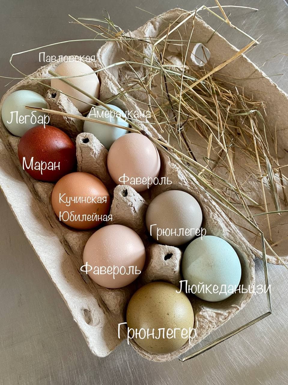 Яйца разноцветные